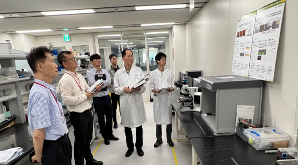 엘엑스하우시스